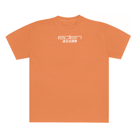 I Can't Imagine Orange T-Shirt